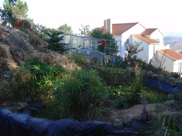 DSC09016.jpg