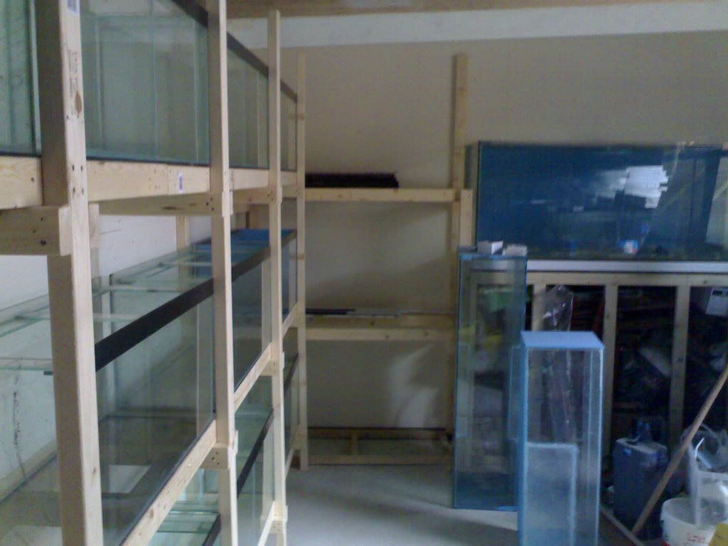 12102007503.jpg
