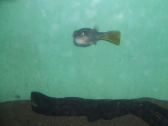 DSCF2437.jpg
