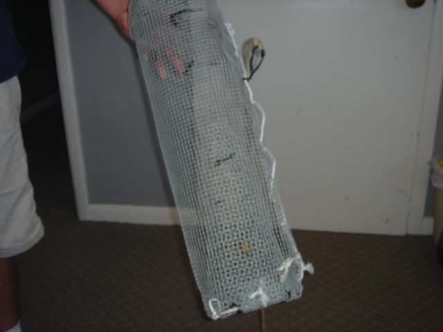 DSC00754.jpg