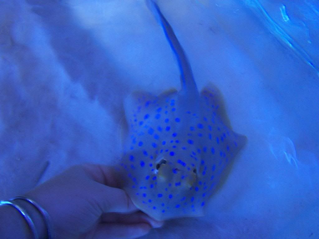 100_5020.jpg