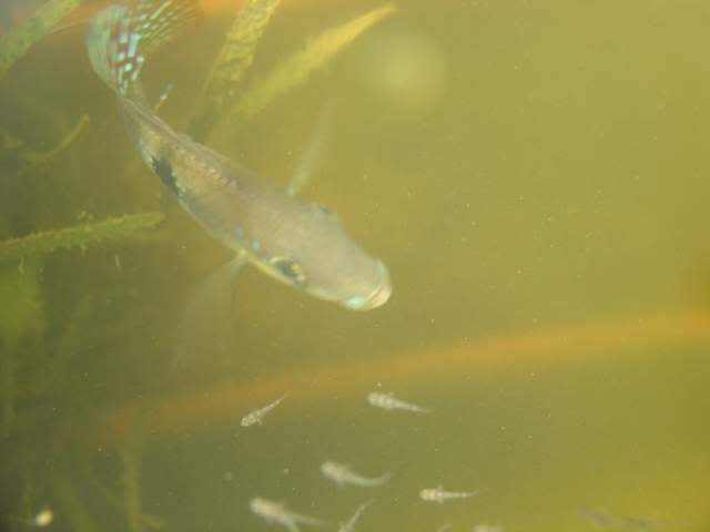 DSC06440.jpg