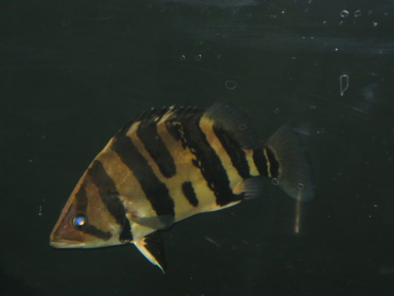 4-20-09010.jpg