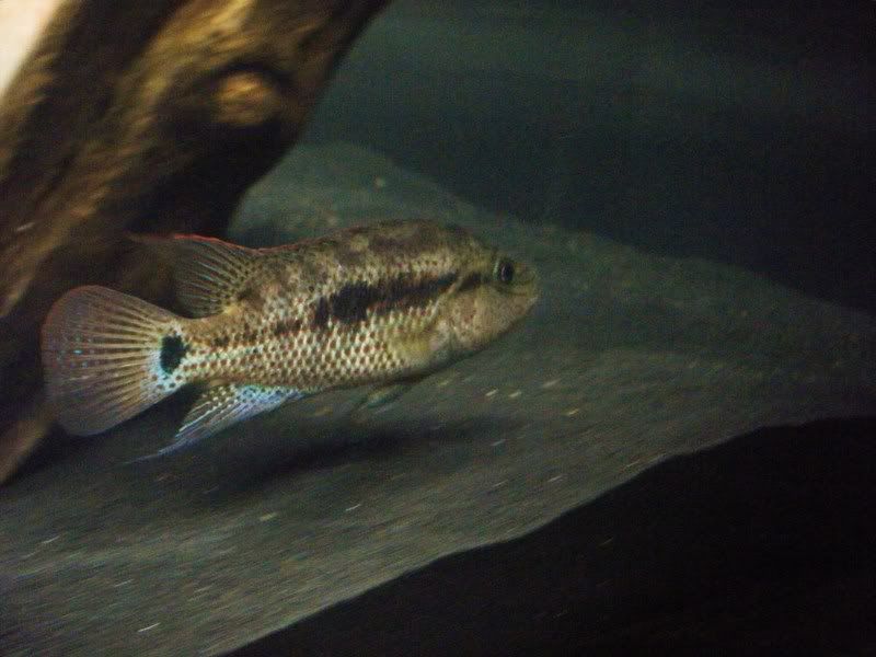 DSCF3376.jpg