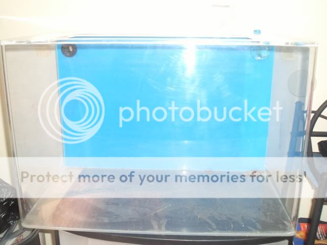fishtank.jpg
