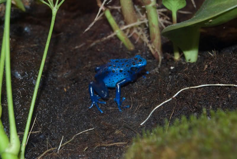 DSC_0080.jpg