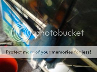 2012-01-03135536.jpg