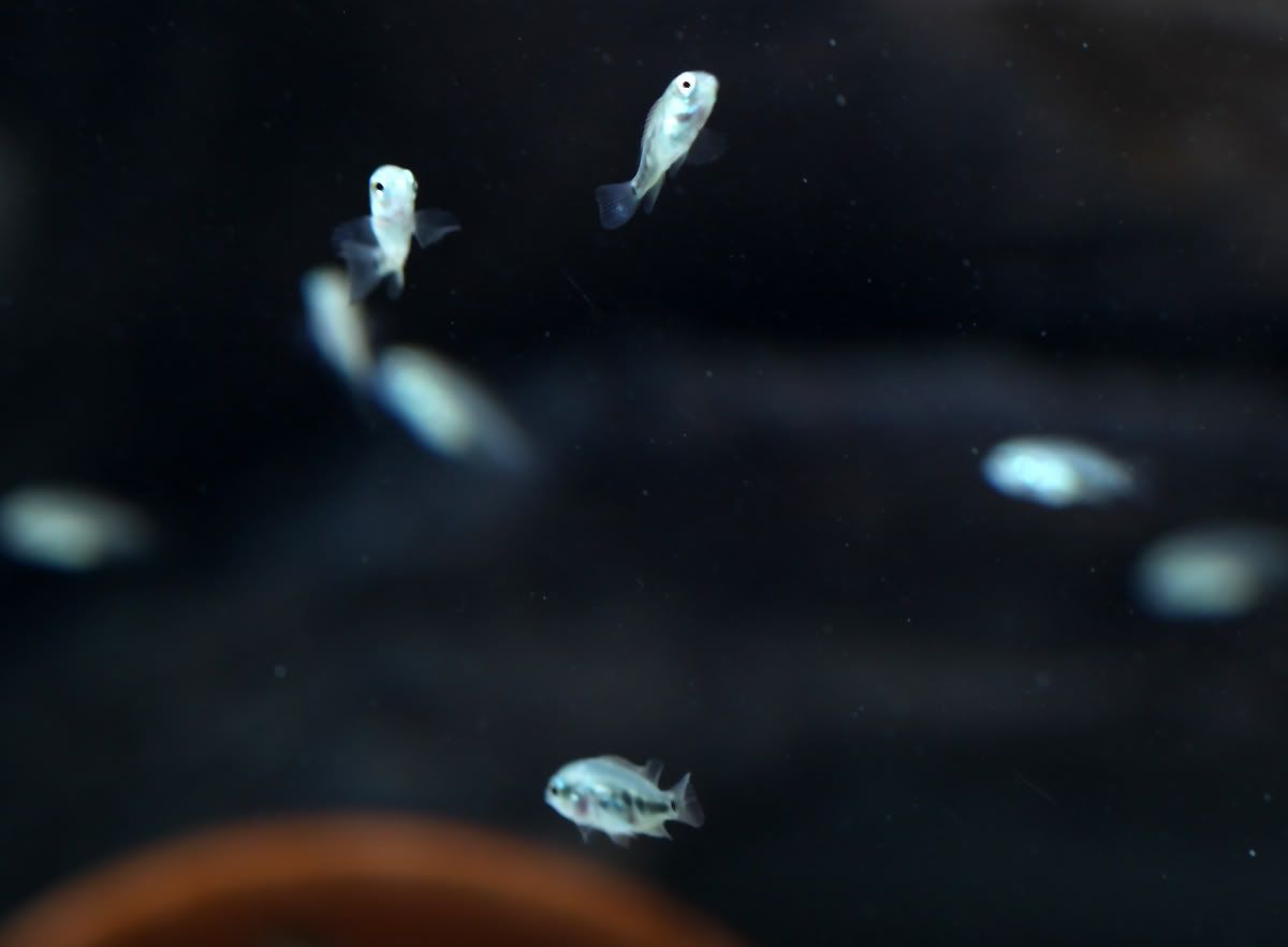 aIMG_0268.jpg