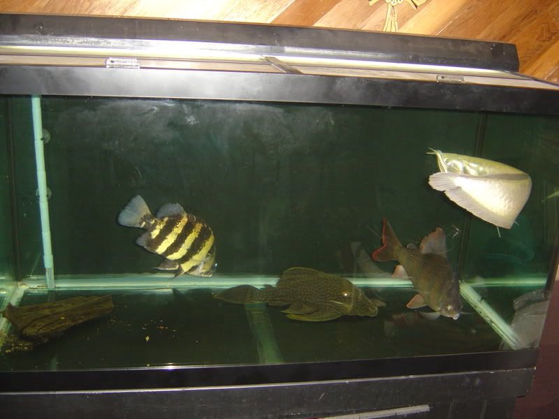 10-10-08014.jpg