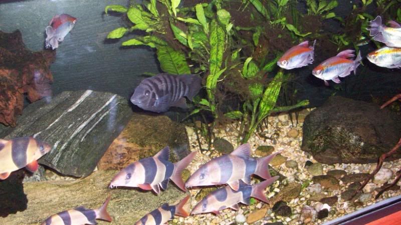 100_0067.jpg