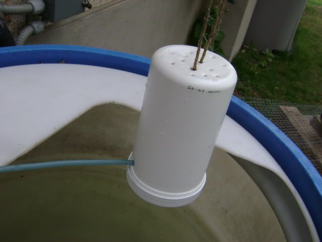 tank011.jpg