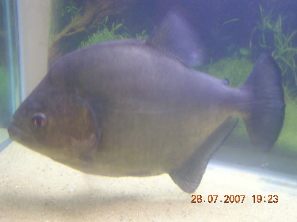 DSCN2130.jpg