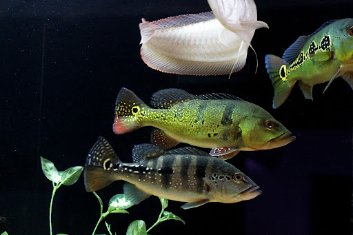 group%20%284%29.JPG