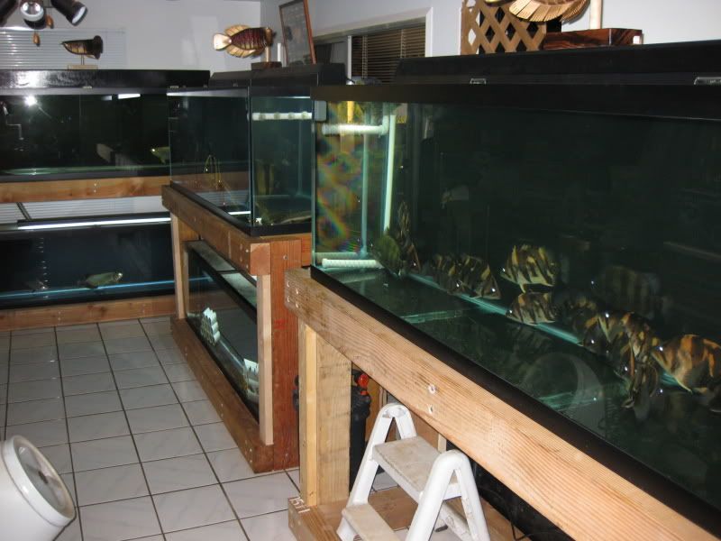 4-19-09005.jpg