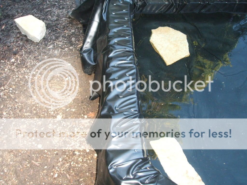 DSCF4763.jpg