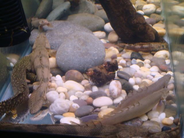 DSC07878.jpg