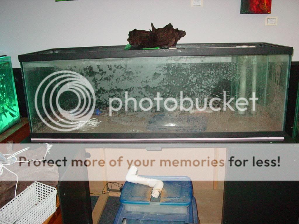 DSC07095.jpg
