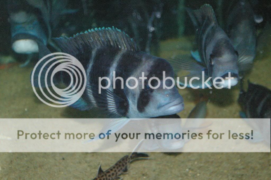 IMGP8072.jpg