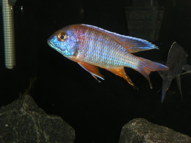 p5.jpg