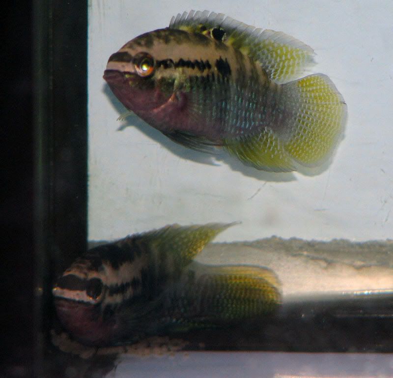 IMG_6294.jpg