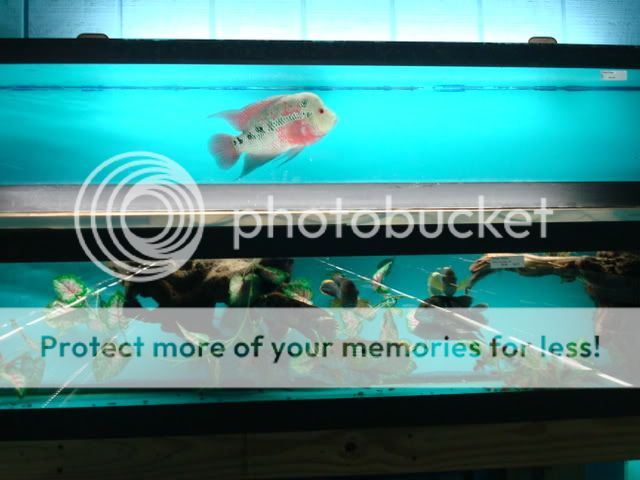 DSC05744.jpg