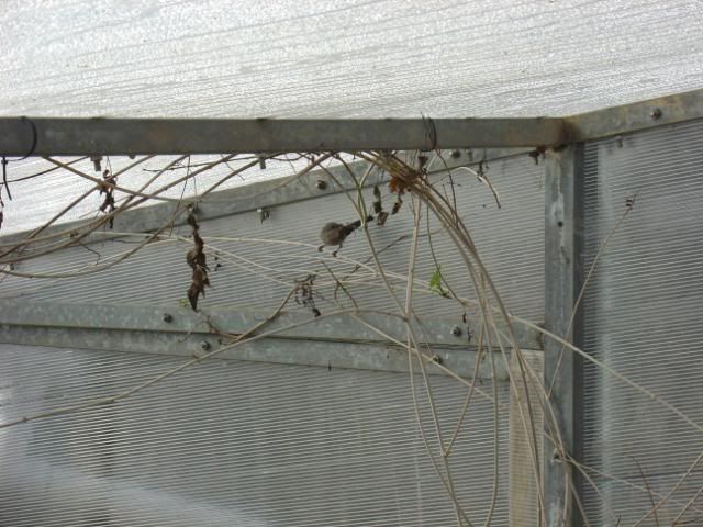 DSC09337.jpg
