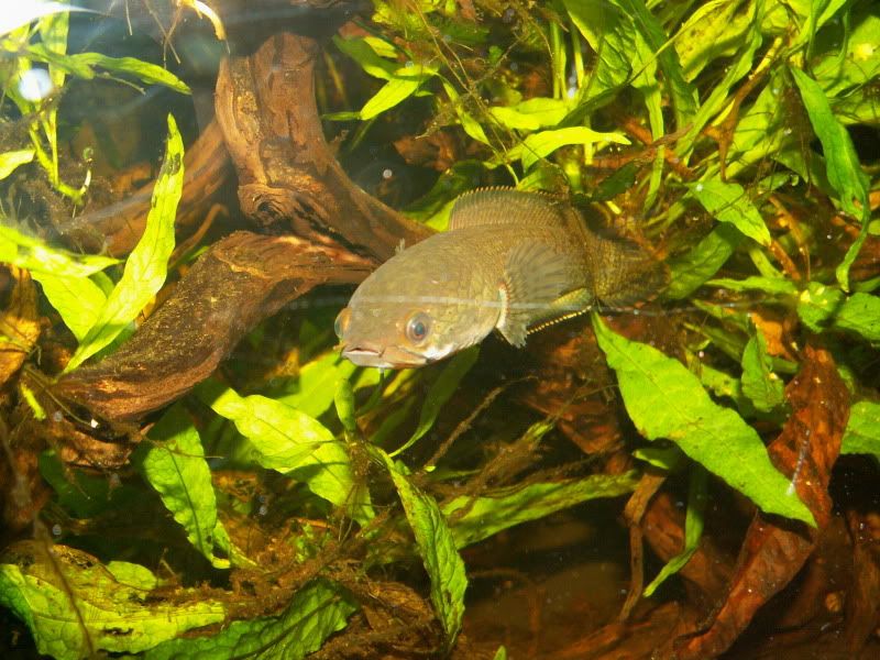 PICT0317.jpg