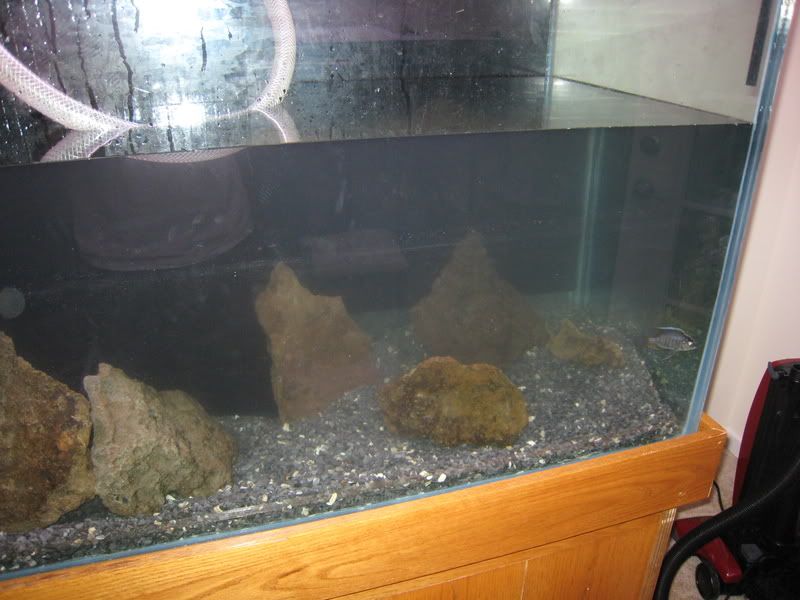 IMG_4188.jpg
