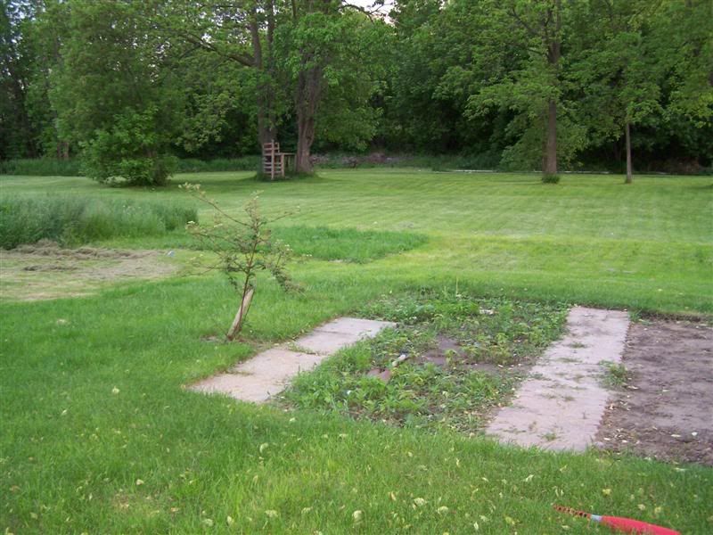 100_0493Medium.jpg