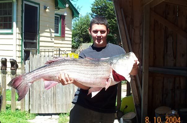 fish.jpg