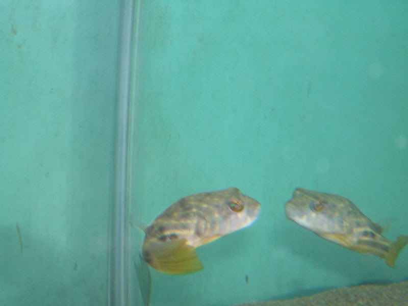 DSCF1932.jpg