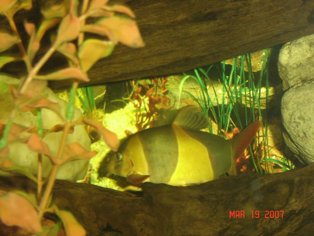 DSC01757.jpg