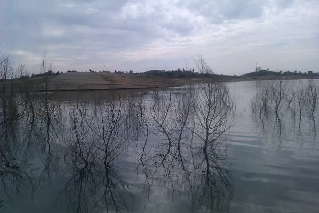 IMAG0652.jpg