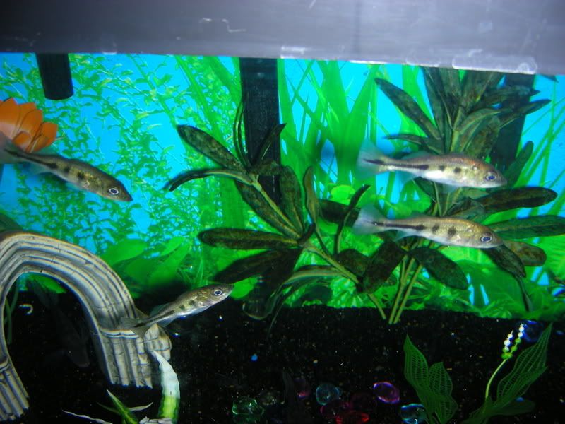 DSCN1513.jpg