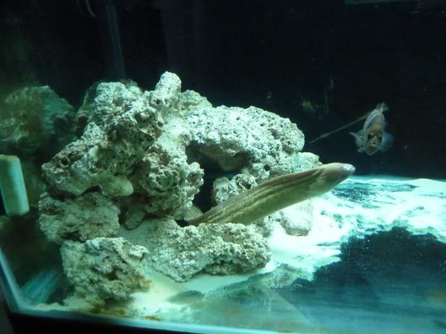 P1010237.jpg