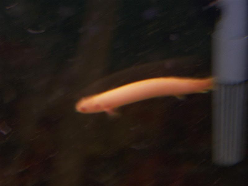 100_5347Medium.jpg