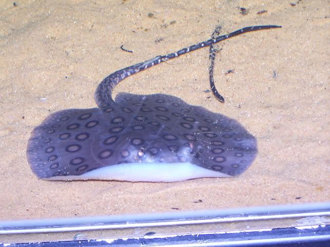 d9119c7e.jpg