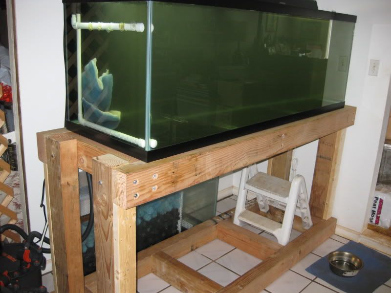 3-17-09048.jpg