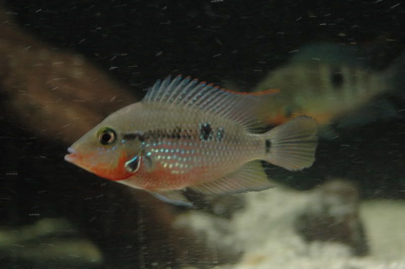 DSC_4173.jpg