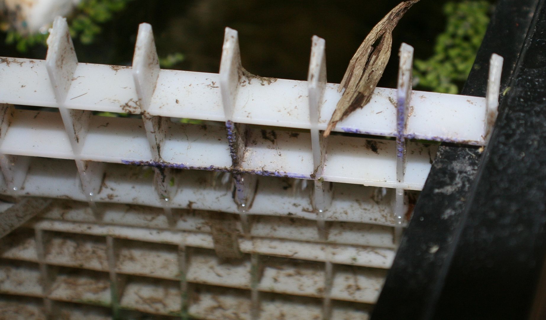 diy tank dividers | MonsterFishKeepers.com