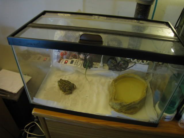 IMG_0894.jpg