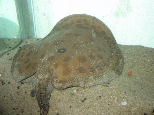 DSC08397.jpg