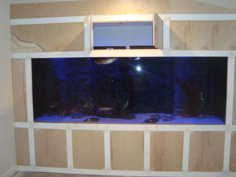 003-6.jpg