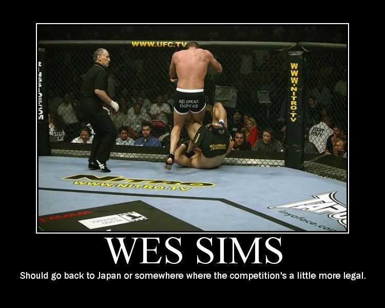 sims.jpg