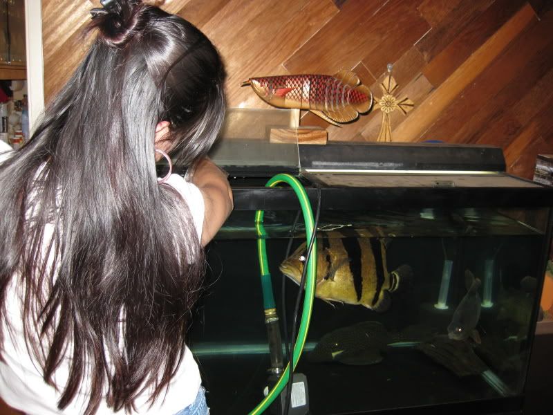 4-19-09001.jpg