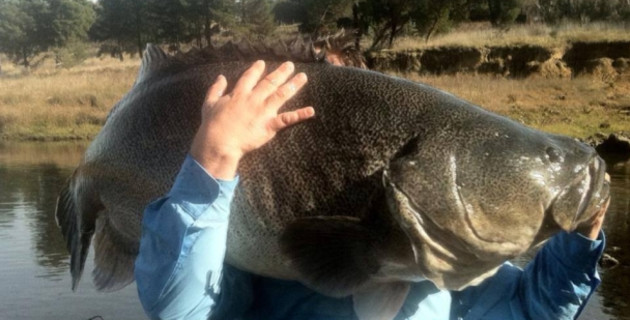 www.fishingworld.com.au