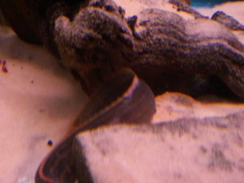 5-19-09282.jpg