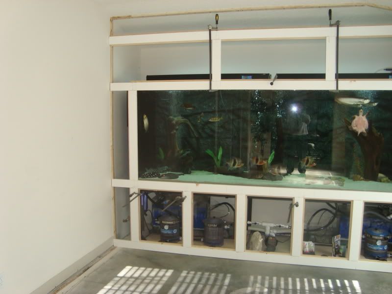 006-6.jpg