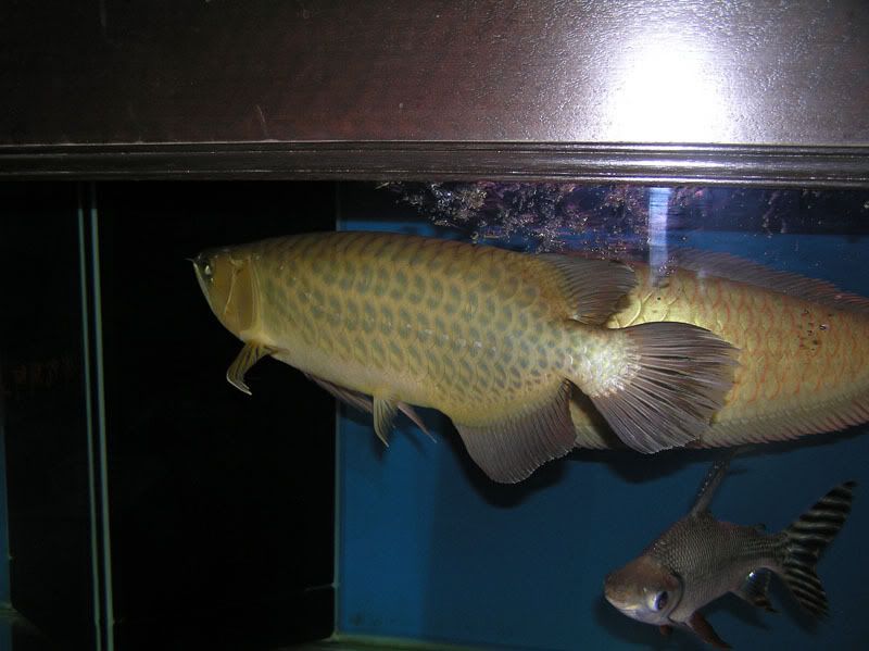 PB040011.jpg