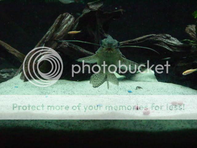 DSC09072.jpg